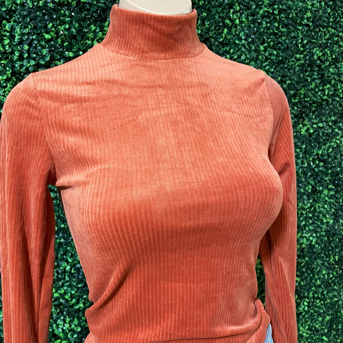 Bethany Turtleneck